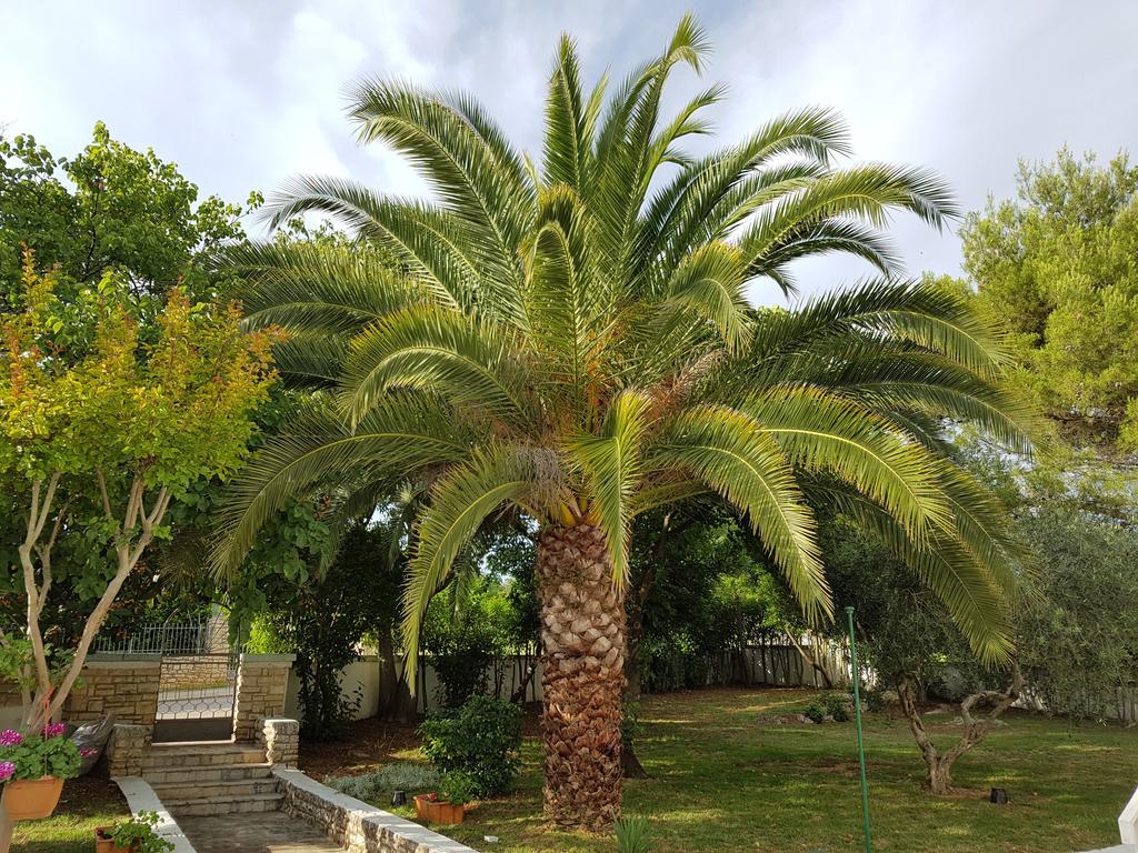 Villa Rosa With Yard And Children'S Playground Tar-Vabriga Exterior photo