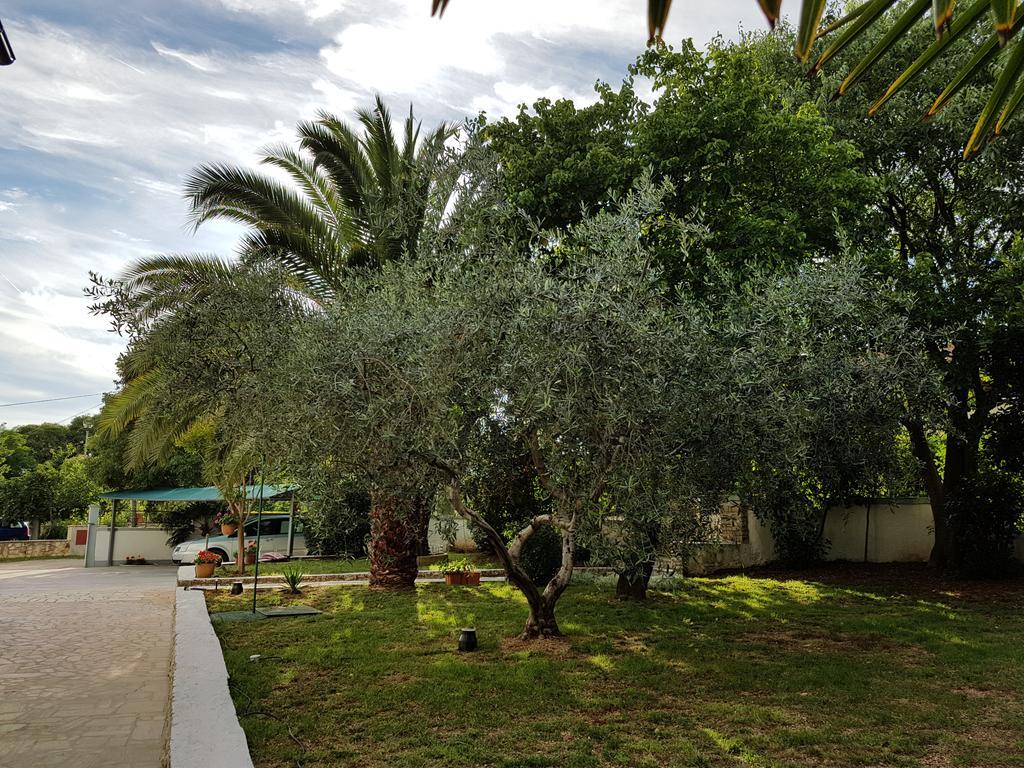 Villa Rosa With Yard And Children'S Playground Tar-Vabriga Exterior photo